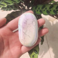 Natural Emerald Palm Stone Polished 210-220g R918078