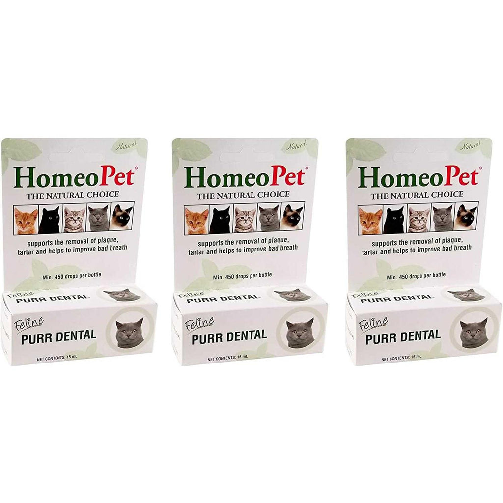Feline Dental for Cats R806262