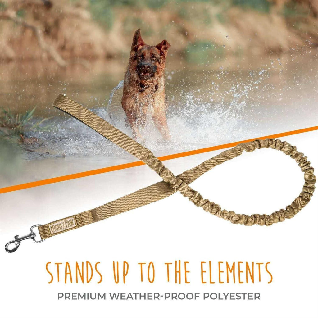 Dual Handle Dog Leash W1366