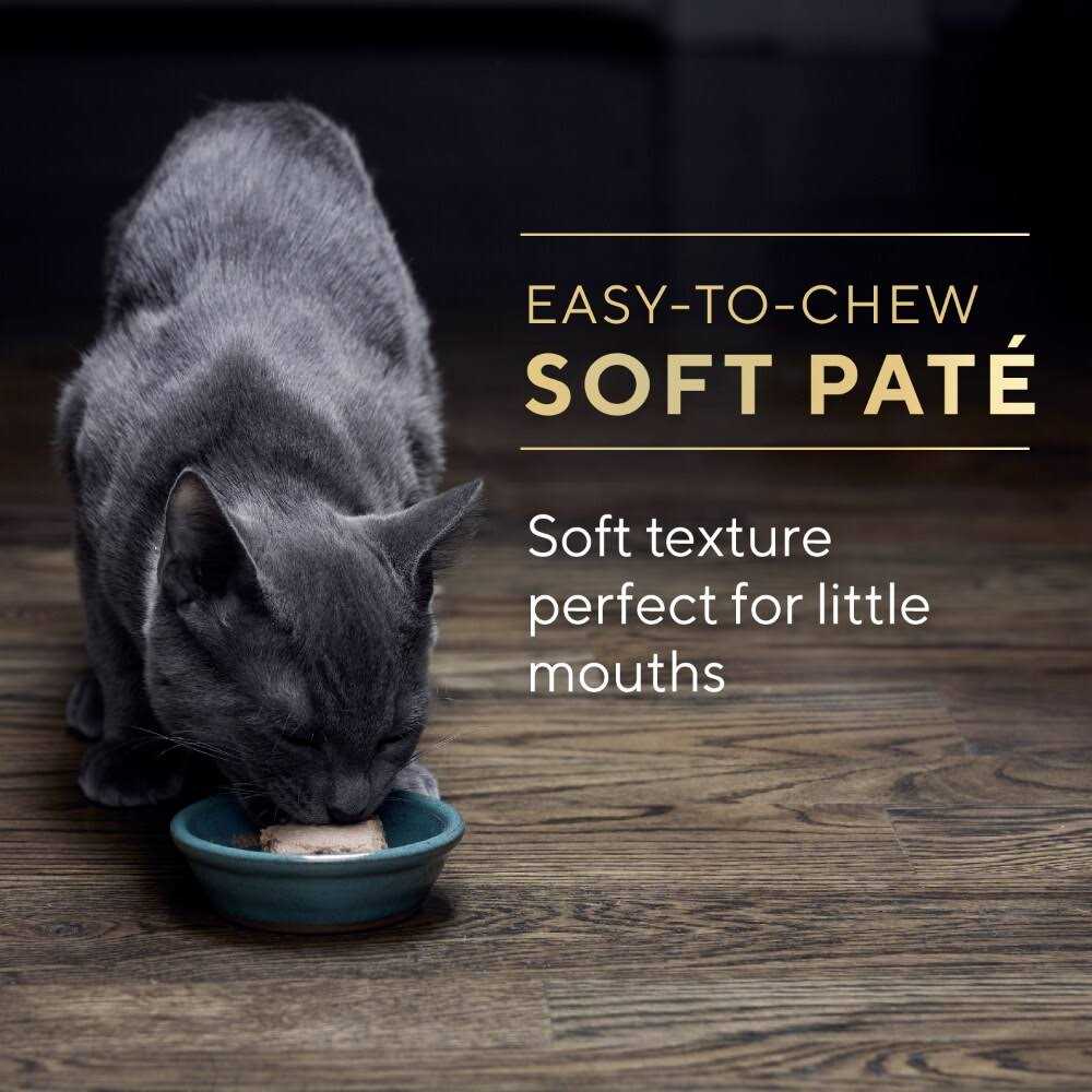 Wet Kitten Food Pate M31796