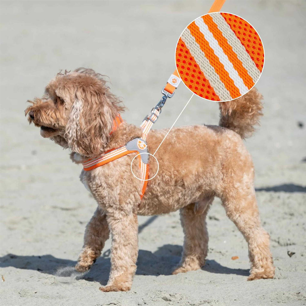 Dog Harness X52836