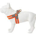 Dog Harness X52836