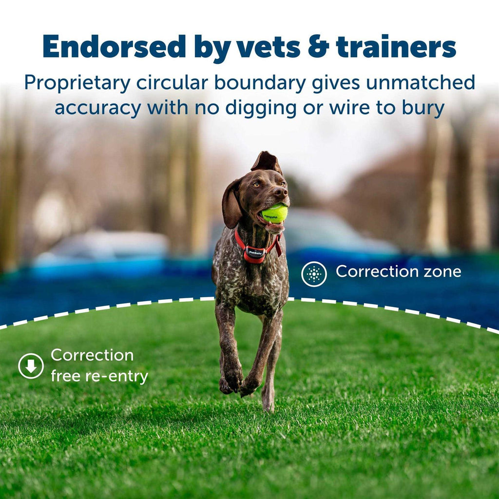 Wireless Fence for Dogs S64172