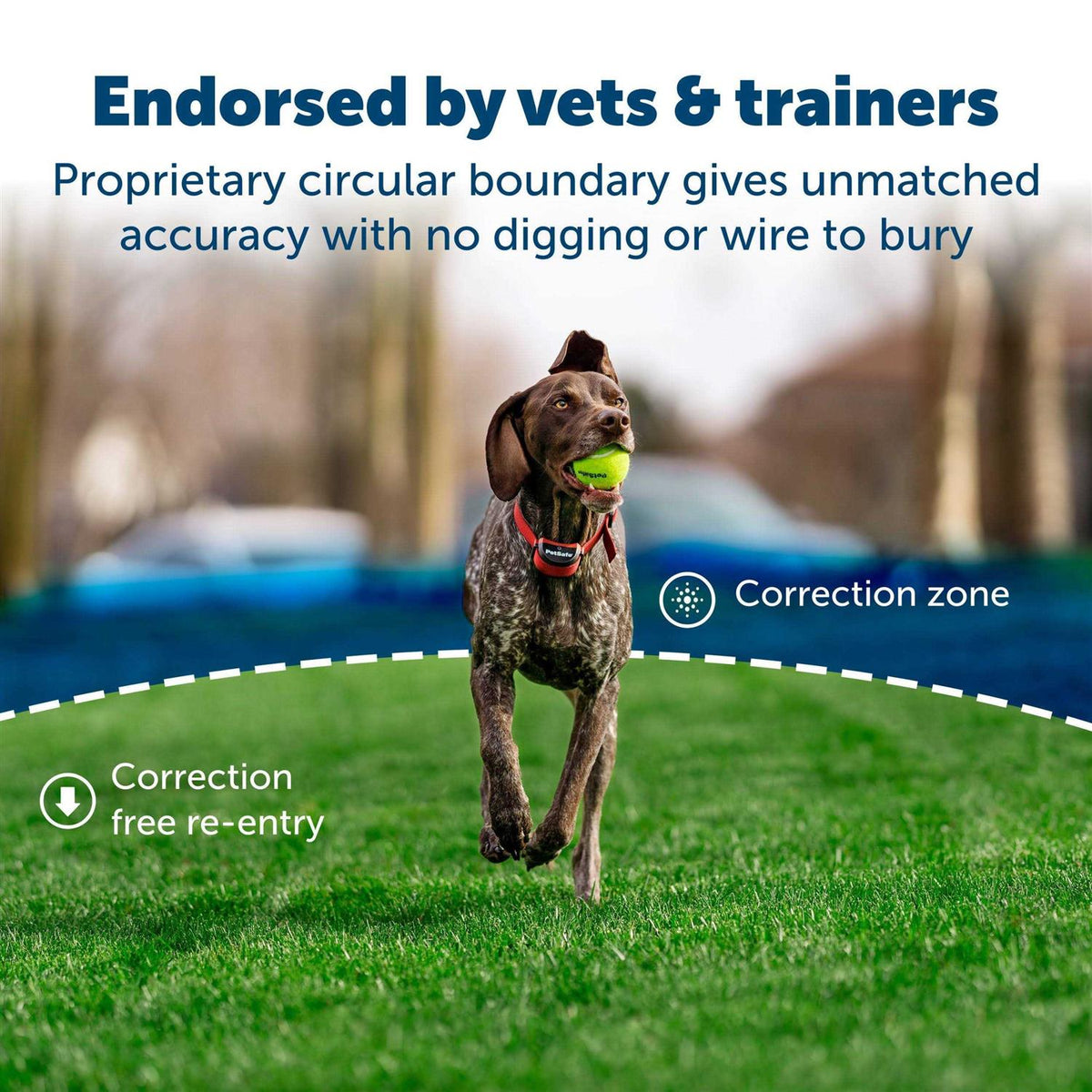 Wireless Fence for Dogs S64172