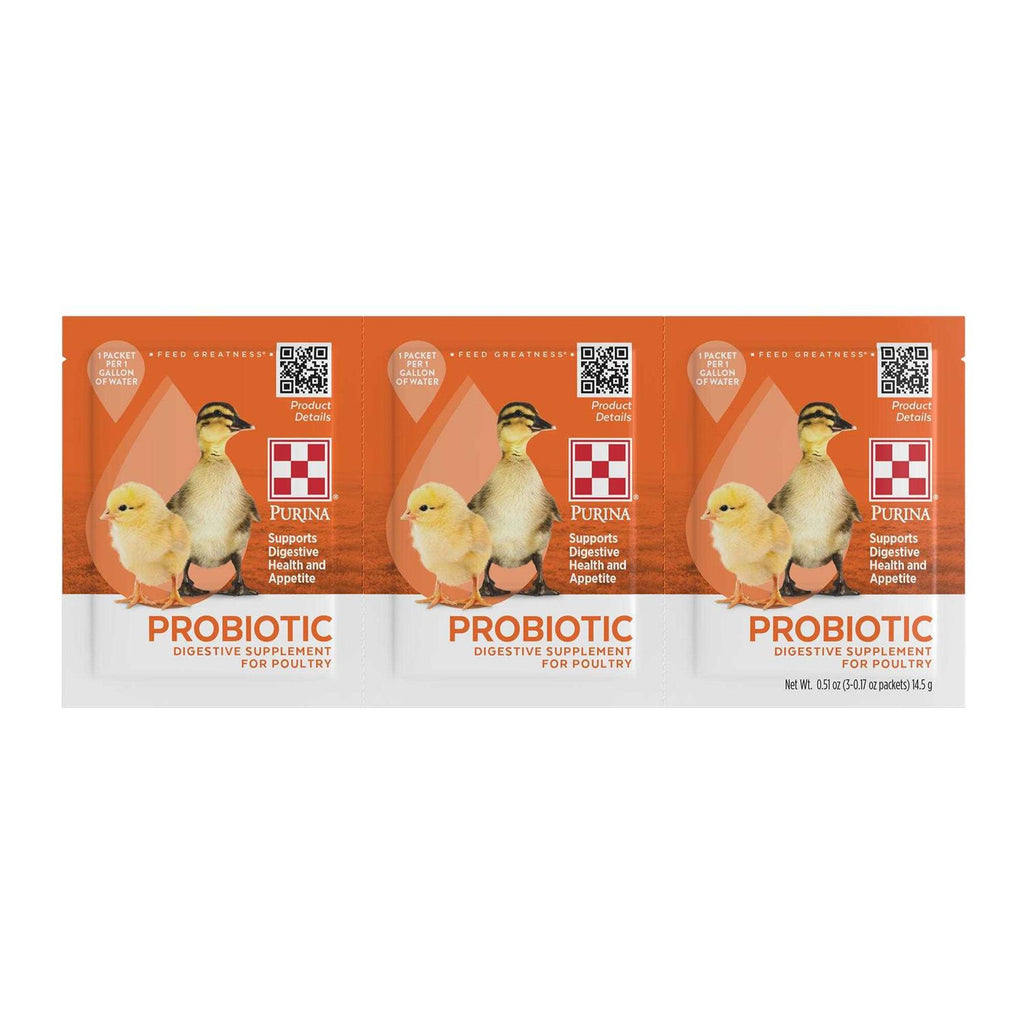 Electrolyte & Antioxidant Supplement for Poultry G762