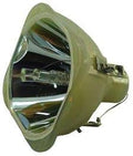 Bare Lamp Projector Bulb N3048