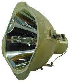 Bare Lamp Projector Bulb N3048