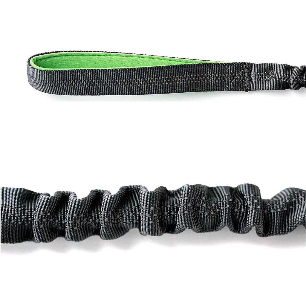 Dual Handle Dog Leash W1366