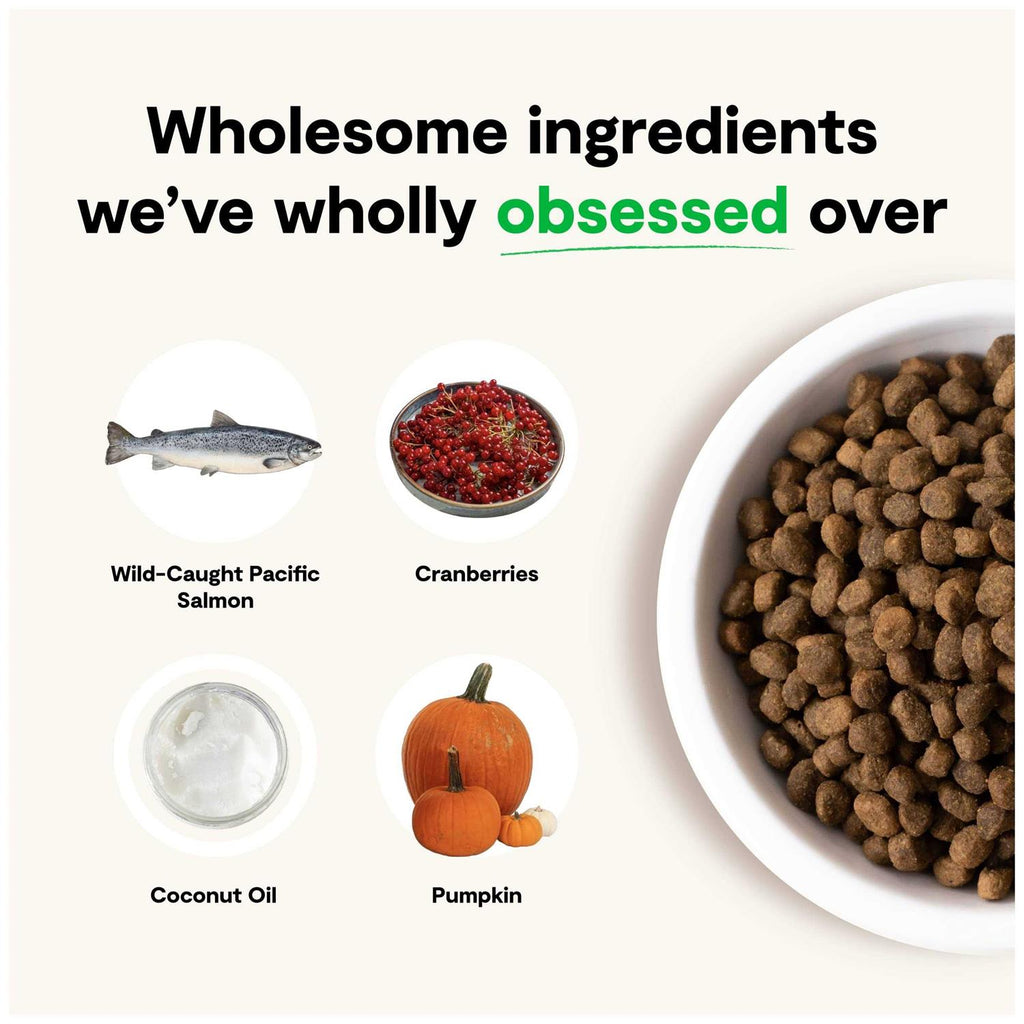 Grain-Free Wild-Caught Salmon Dry Dog Food G532986