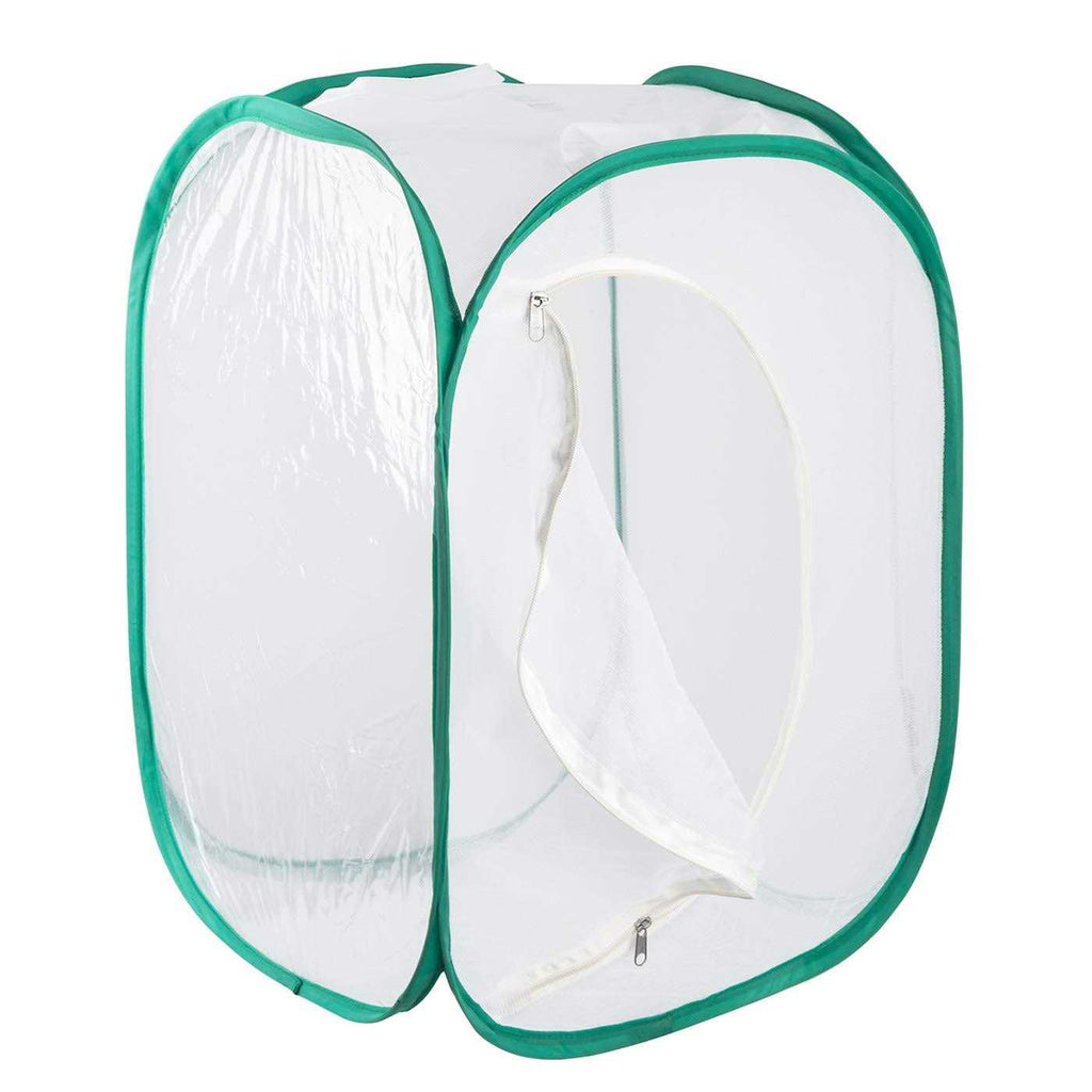 Insect and Butterfly Habitat Terrarium H5537