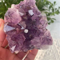 Natural Amethyst Quartz Crystal Cluster Specimen 60-80g I294041