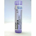 Arnica montana 1M 80 plts U69475