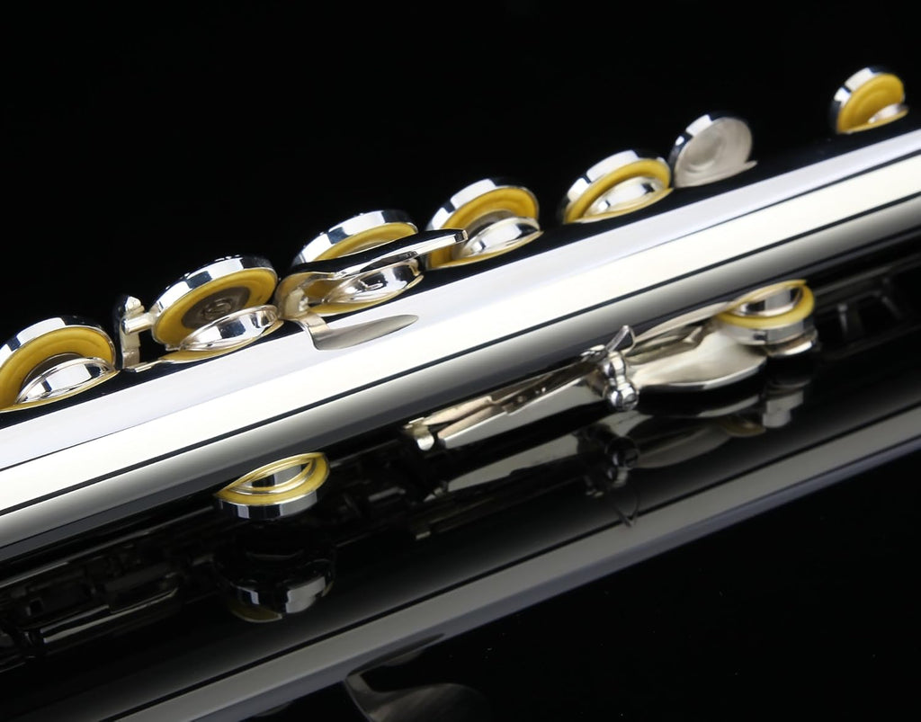 Hand Engraved Silver Plated 17 Hole C Flute with Case M236067