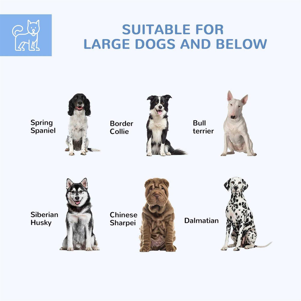 Large Outdoor Dog Kennel with Waterproof UV Resistant Roof B987539