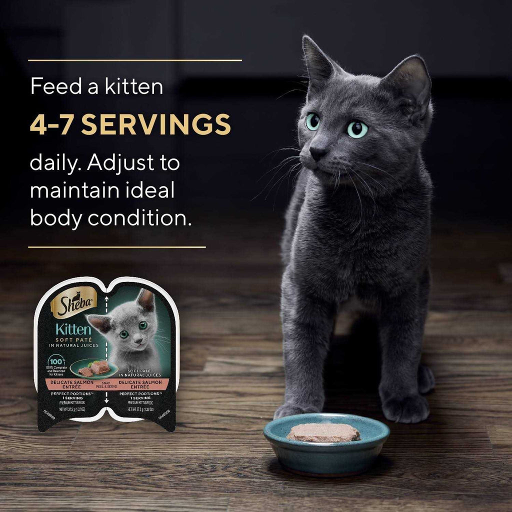 Wet Kitten Food Pate M31796
