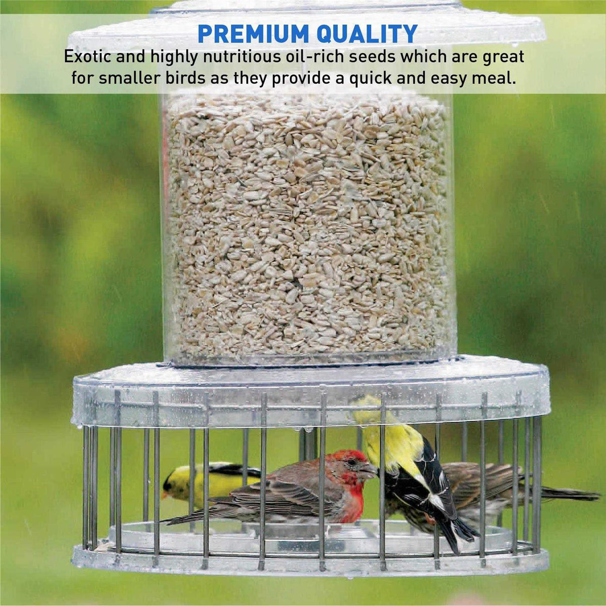 Sunflower Kernels Wild Bird Food 50 lb Q522