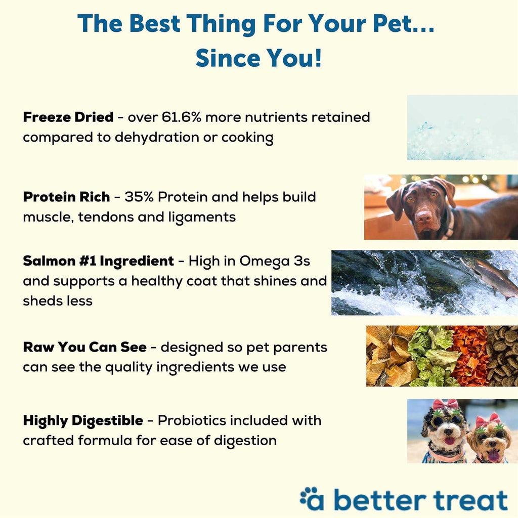 Salmon Raw Dog Food F30707