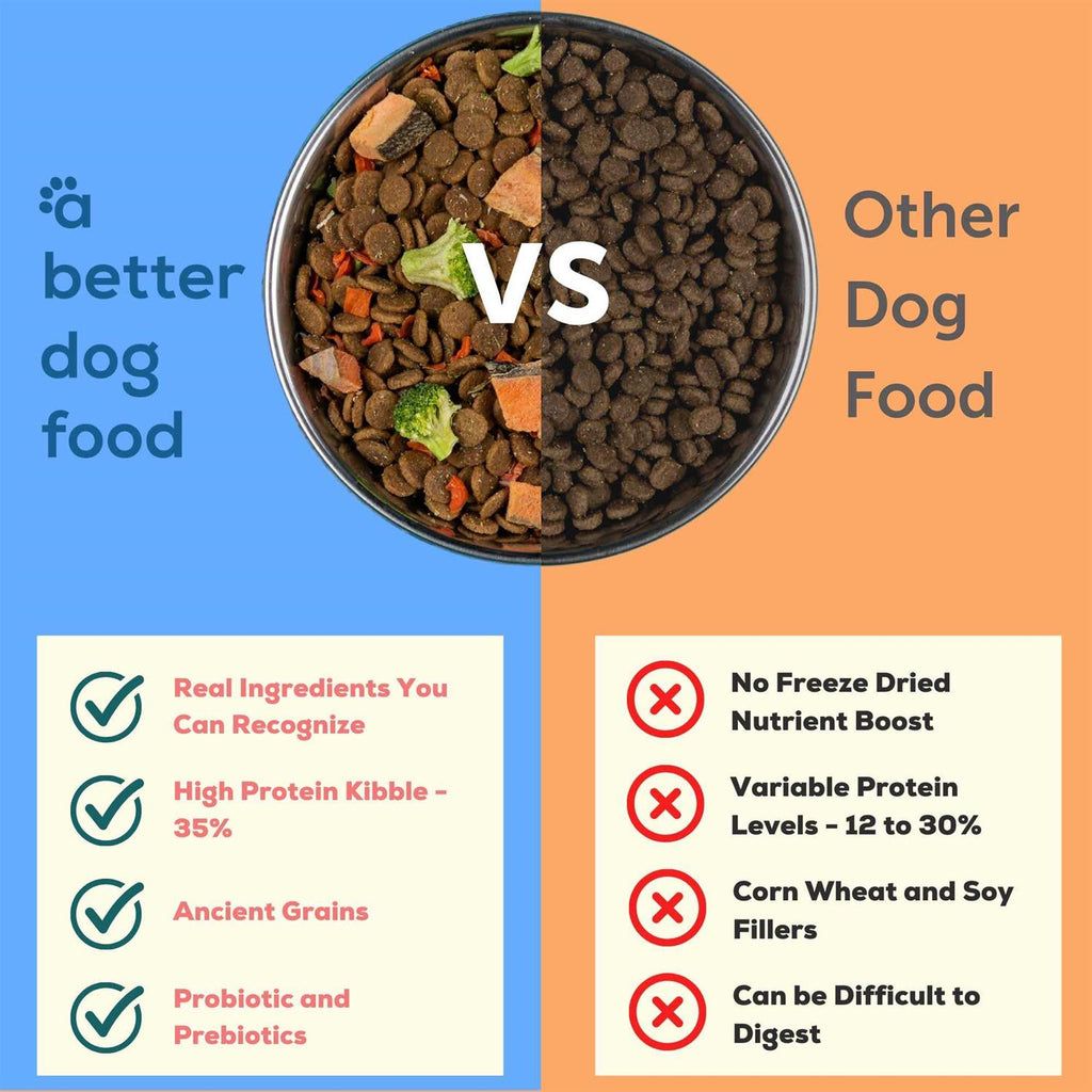 Salmon Raw Dog Food F30707