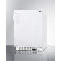 20" Wide Built-In All-Refrigerator S379