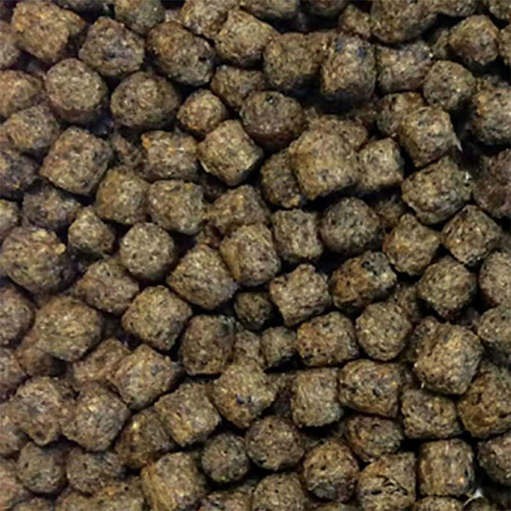 Fish Food G928069