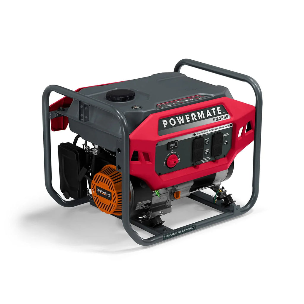 3800 Watt Gas Powered Portable Generator P222486