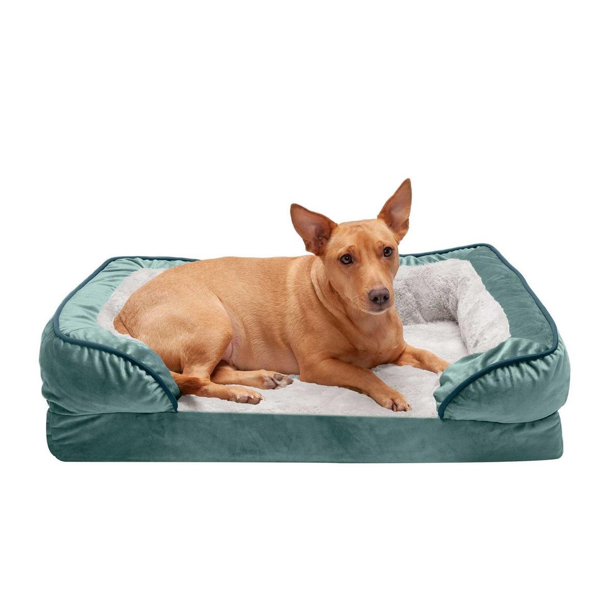 Sofa Dog Bed Y23769