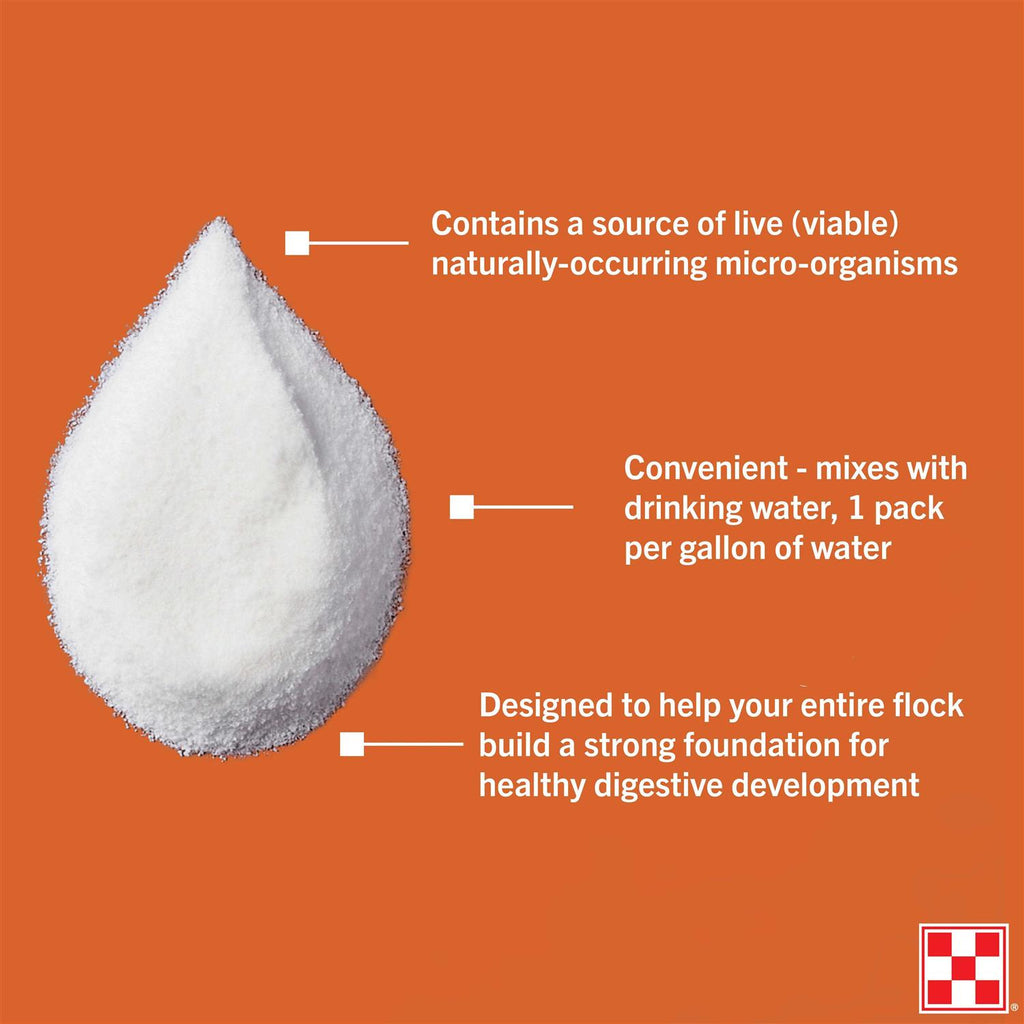 Electrolyte & Antioxidant Supplement for Poultry G762