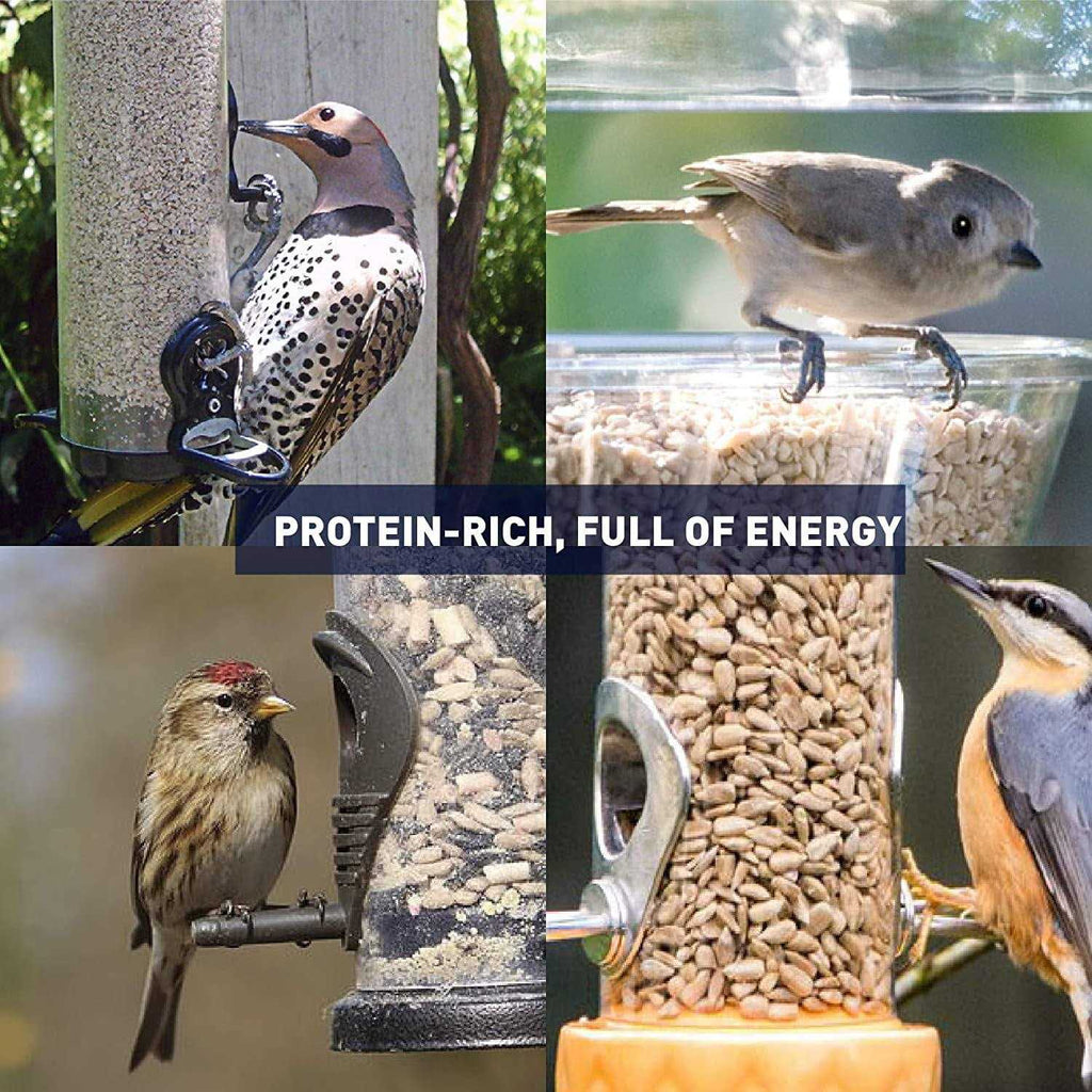 Sunflower Kernels Wild Bird Food 50 lb Q522