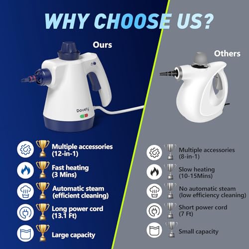 Pressurized Handheld Steam Cleaner with 12pcs Accessories Y719691