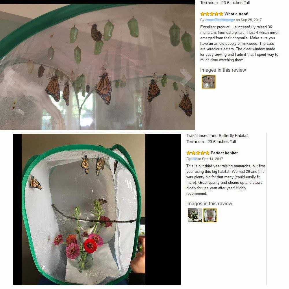 Insect and Butterfly Habitat Terrarium H5537