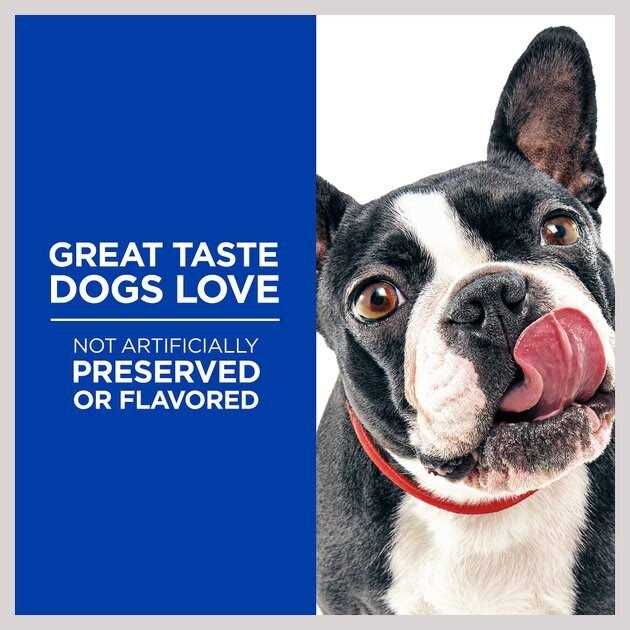 Natural Baked Light Biscuits with Real Chicken Dog Treats R9643
