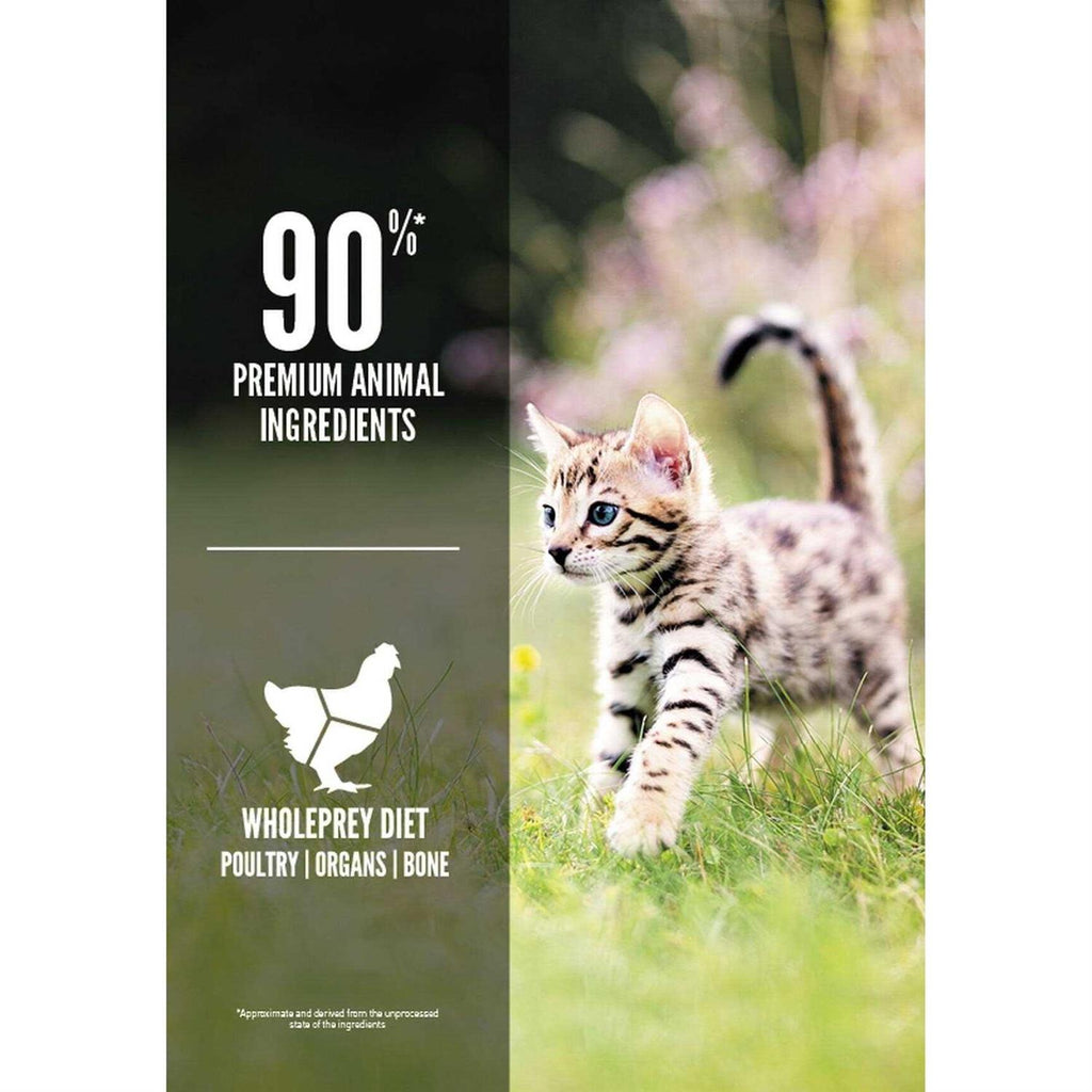 Kitten Dry Cat Food X737
