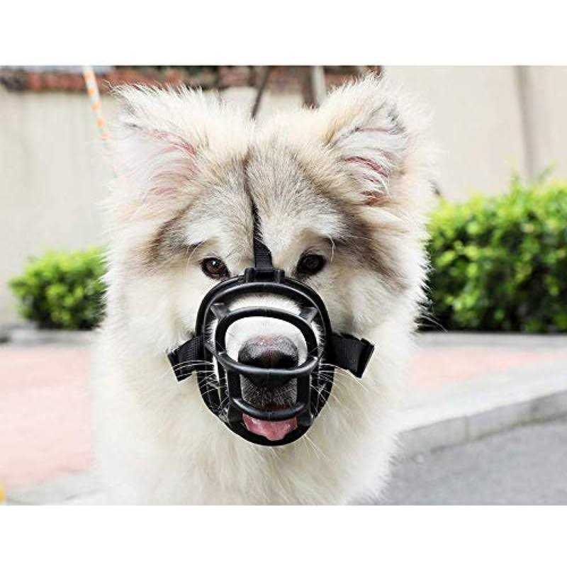 Leather Dog Muzzle L3078
