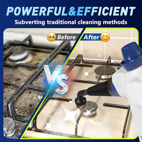 Pressurized Handheld Steam Cleaner with 12pcs Accessories Y719691